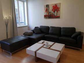 Grand appartement en centre ville